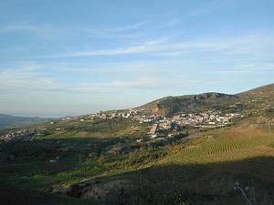 NEDROMA 8